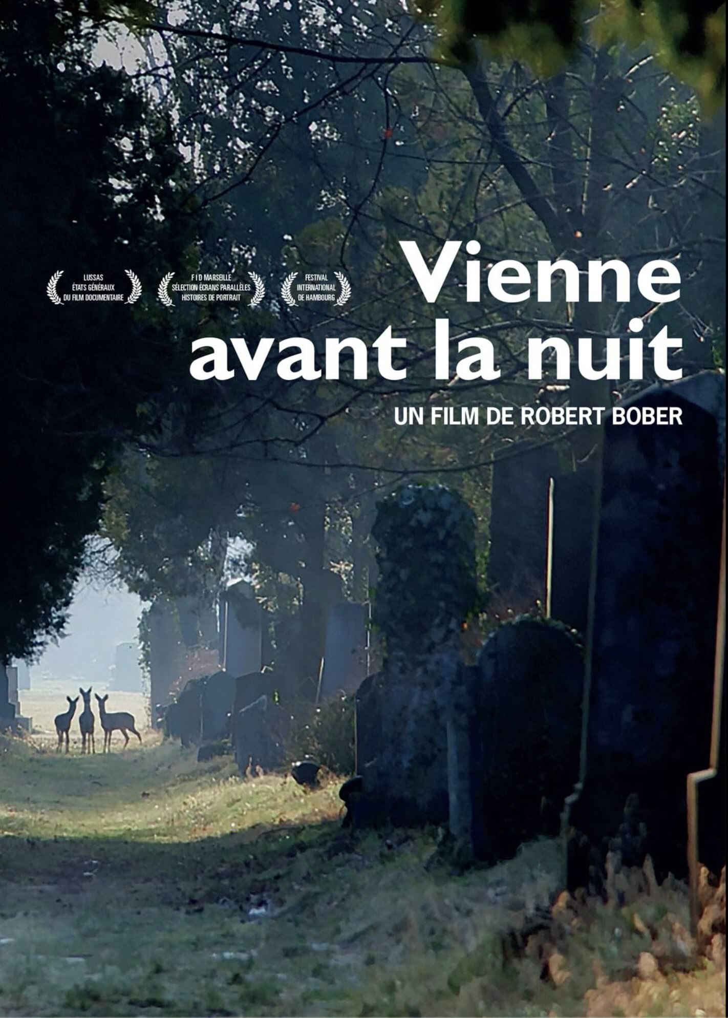 Film poster: Vienne avant la nuit klein